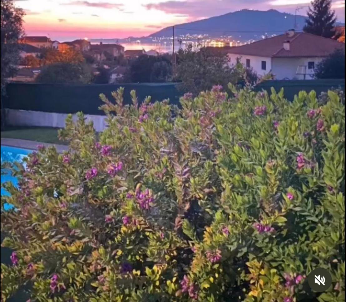 Casa Do Vale -Villa Rio Minho-Seixas-卡米尼亚 外观 照片