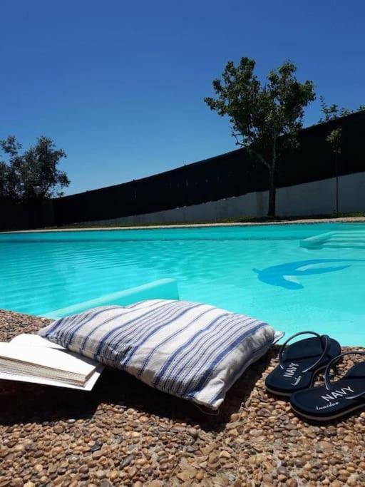Casa Do Vale -Villa Rio Minho-Seixas-卡米尼亚 外观 照片